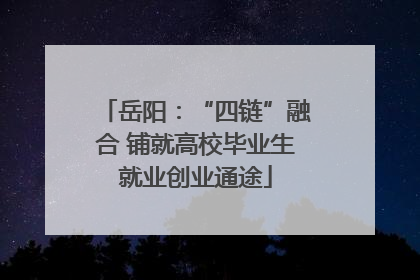 岳阳：“四链”融合 铺就高校毕业生就业创业通途