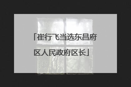 崔行飞当选东昌府区人民政府区长