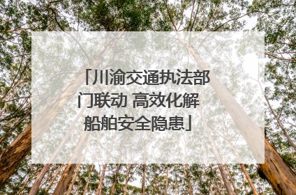 川渝交通执法部门联动 高效化解船舶安全隐患