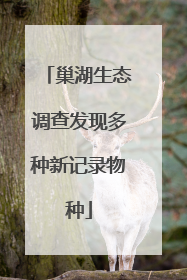 巢湖生态调查发现多种新记录物种