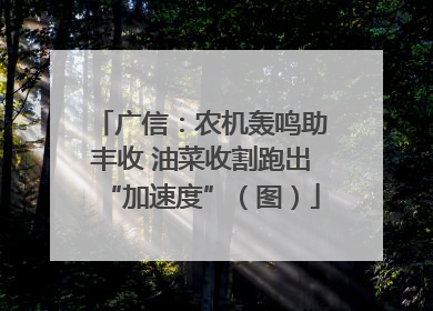 广信：农机轰鸣助丰收 油菜收割跑出“加速度”（图）