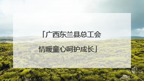 广西东兰县总工会情暖童心呵护成长
