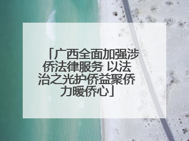 广西全面加强涉侨法律服务 以法治之光护侨益聚侨力暖侨心