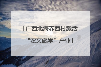 广西北海赤西村激活“农文旅学”产业