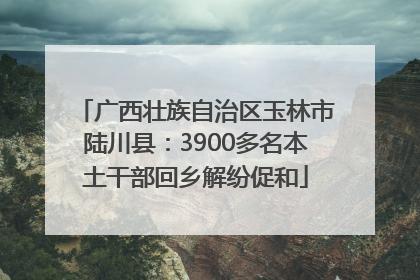 广西壮族自治区玉林市陆川县：3900多名本土干部回乡解纷促和