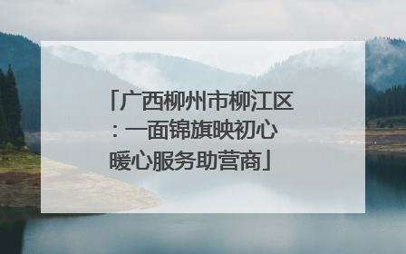 广西柳州市柳江区：一面锦旗映初心 暖心服务助营商
