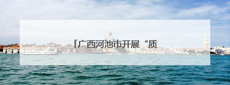 广西河池市开展“质量服务进园区”活动