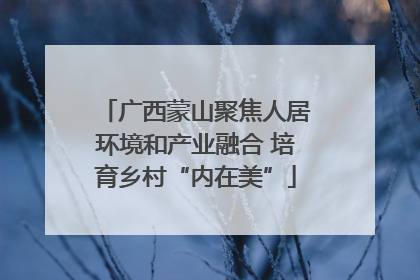 广西蒙山聚焦人居环境和产业融合 培育乡村“内在美”
