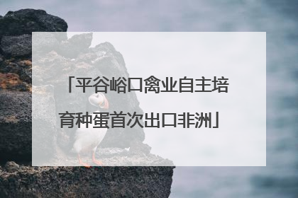 平谷峪口禽业自主培育种蛋首次出口非洲
