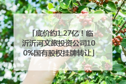 底价约1.27亿！临沂沂河文旅投资公司100%国有股权挂牌转让