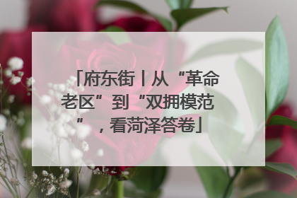 府东街丨从“革命老区”到“双拥模范”，看菏泽答卷