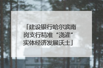 建设银行哈尔滨南岗支行精准“浇灌”实体经济发展沃土