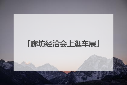 廊坊经洽会上逛车展