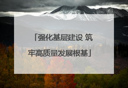 强化基层建设 筑牢高质量发展根基