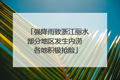 强降雨致浙江丽水部分地区发生内涝 各地积极抢险