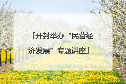 开封举办“民营经济发展”专题讲座