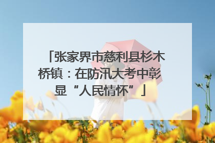 张家界市慈利县杉木桥镇：在防汛大考中彰显“人民情怀”