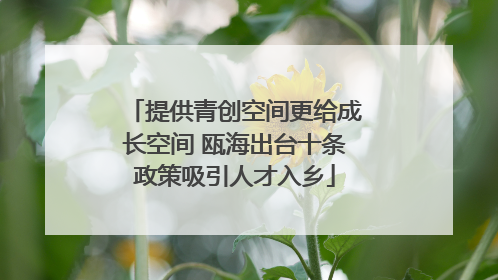提供青创空间更给成长空间 瓯海出台十条政策吸引人才入乡