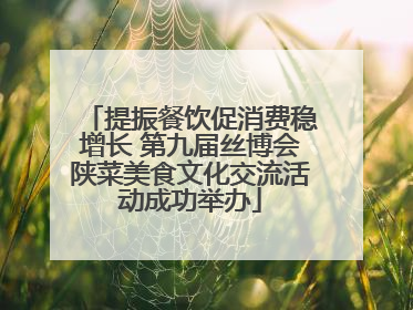 提振餐饮促消费稳增长 第九届丝博会陕菜美食文化交流活动成功举办