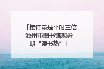 接待量是平时三倍 池州市图书馆现暑期“读书热”