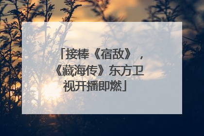 接棒《宿敌》，《藏海传》东方卫视开播即燃