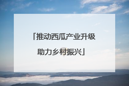 推动西瓜产业升级 助力乡村振兴