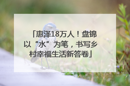 惠泽18万人！盘锦以“水”为笔，书写乡村幸福生活新答卷