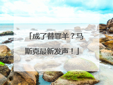 成了替罪羊？马斯克最新发声！