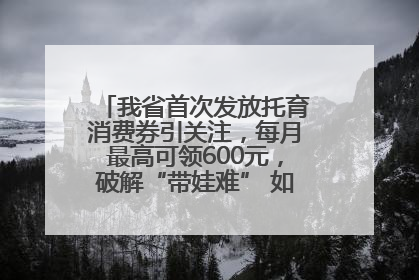 我省首次发放托育消费券引关注，每月最高可领600元，破解“带娃难” 如何不负所“托”？