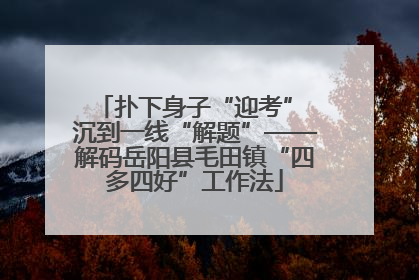 扑下身子“迎考” 沉到一线“解题”——解码岳阳县毛田镇“四多四好”工作法