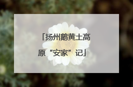 扬州鹅黄土高原“安家”记