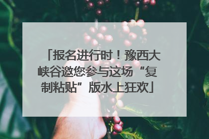 报名进行时！豫西大峡谷邀您参与这场“复制粘贴”版水上狂欢