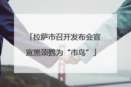 拉萨市召开发布会官宣黑颈鹤为“市鸟”