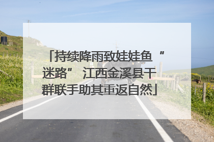 持续降雨致娃娃鱼“迷路” 江西金溪县干群联手助其重返自然