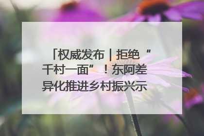 权威发布｜拒绝“千村一面”！东阿差异化推进乡村振兴示范片区建设