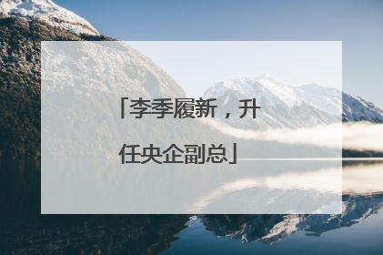 李季履新，升任央企副总