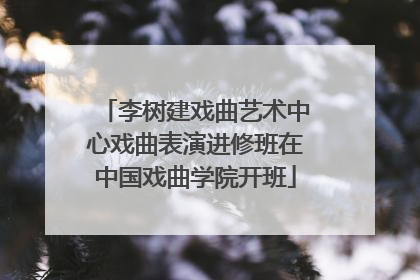 李树建戏曲艺术中心戏曲表演进修班在中国戏曲学院开班