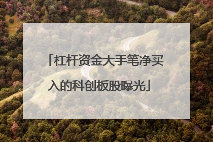 杠杆资金大手笔净买入的科创板股曝光