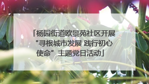杨园街道欧景苑社区开展“寻根城市发展 践行初心使命”主题党日活动