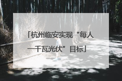 杭州临安实现“每人一千瓦光伏”目标