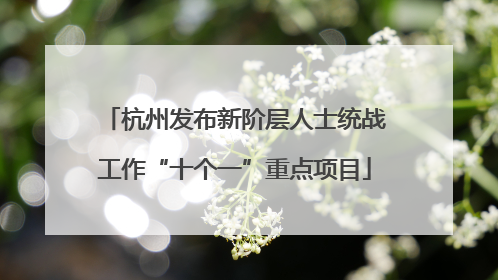 杭州发布新阶层人士统战工作“十个一”重点项目