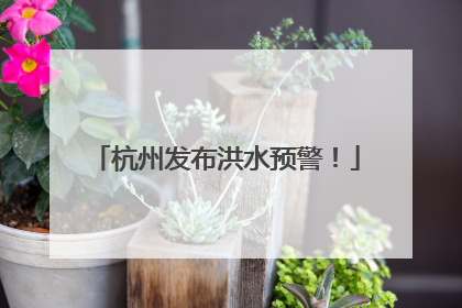 杭州发布洪水预警！