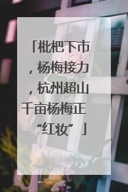 枇杷下市，杨梅接力，杭州超山千亩杨梅正“红妆”