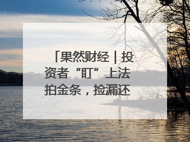 果然财经｜投资者“盯”上法拍金条，捡漏还是风险？