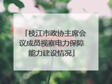枝江市政协主席会议成员视察电力保障能力建设情况