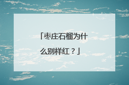 枣庄石榴为什么别样红？