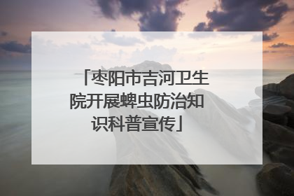 枣阳市吉河卫生院开展蜱虫防治知识科普宣传