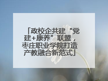 政校企共建“党建+康养”联盟，枣庄职业学院打造产教融合新范式