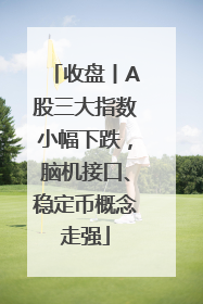 收盘丨A股三大指数小幅下跌，脑机接口、稳定币概念走强