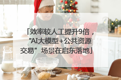 效率较人工提升9倍，“AI大模型+公共资源交易”场景在启东落地